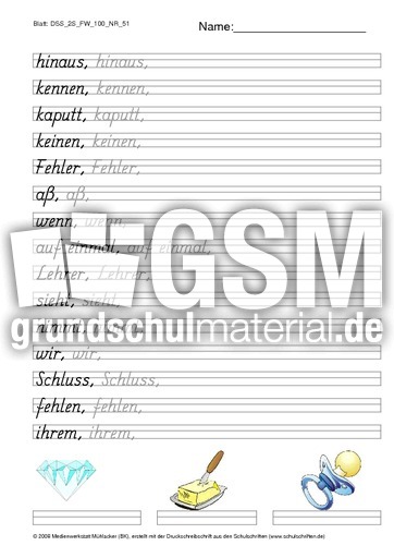 DSS_2S_FW_100_NR_51.pdf